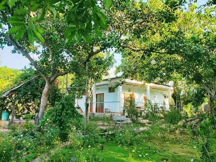 List 10+ Homestay Hồ Tràm Tiện Nghi, View Đẹp Không Thể Bỏ Lỡ 