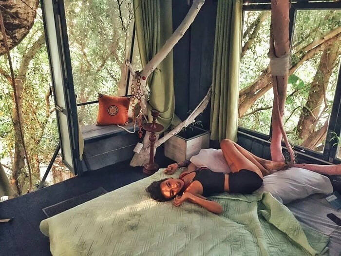 Đào Anh Khánh Tree House