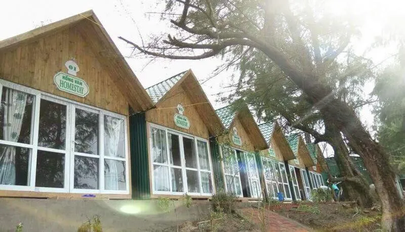 5+ Homestay Cô Tô Siêu Đẹp Với View Hướng Biển Cực Chill