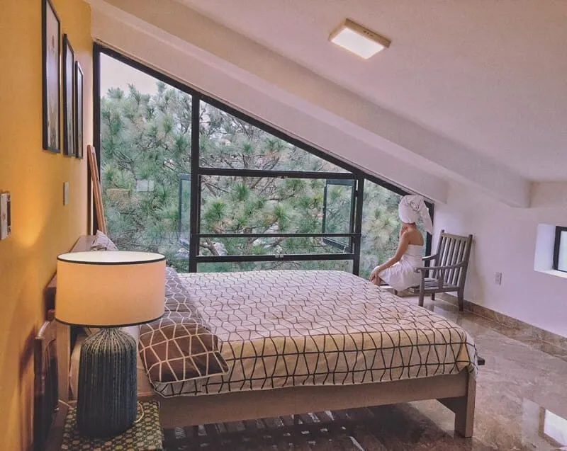 Review Top 20+ Homestay Đà Lạt Siêu Chill Giữa Mây Trời