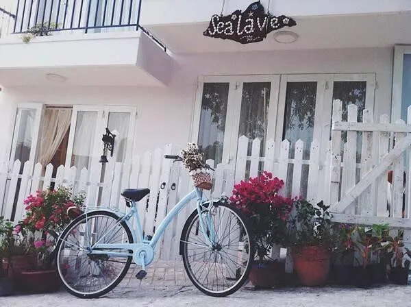 Review Sea La Vie Homestay – Trải nghiệm tuyệt vời tuổi thanh xuân