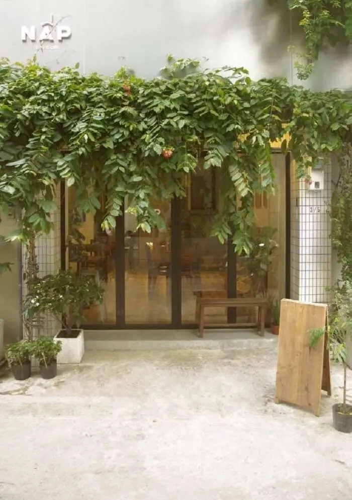 Tổng Hợp 7 Homestay Quận 1 Giá Rẻ View Đẹp Không Thể Bỏ Qua