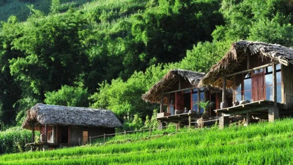 A Chu Homestay Mộc Châu – Hòa Mình Vào Cảnh Đẹp Và Bản Sắc Dân Tộc H’ Mông