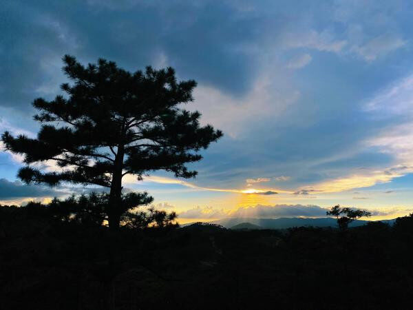 View từ In The Pines Homestay